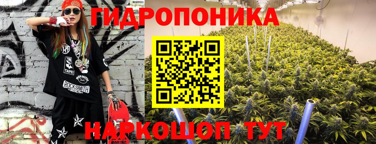 Канабис конопля Кашира